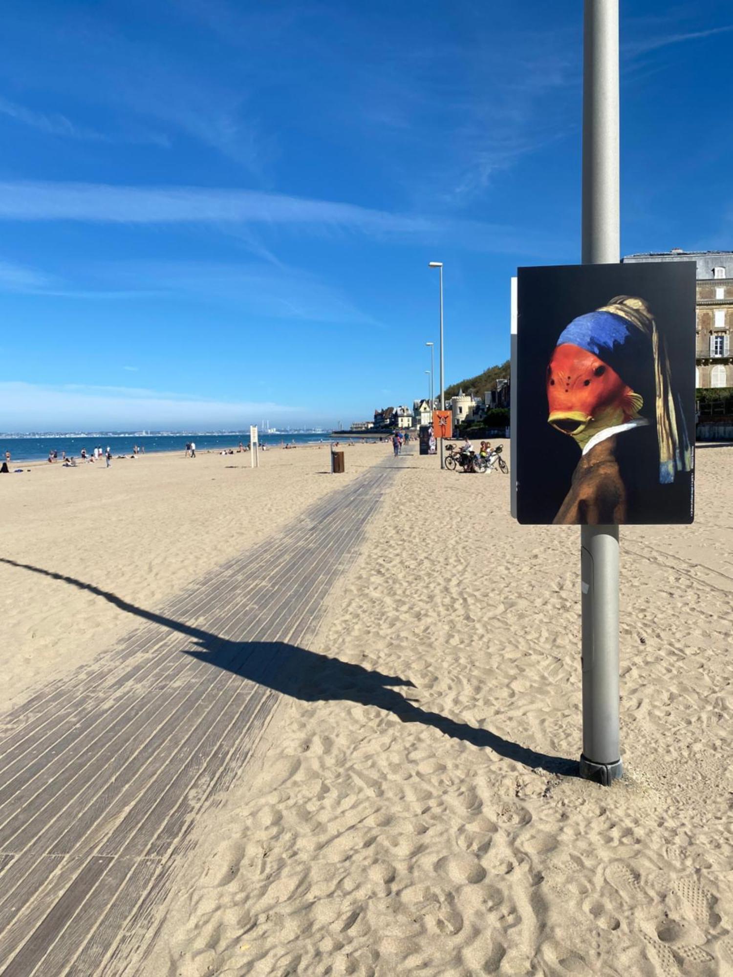 Cote Plage - Magnifique Appartement De Charme A Trouville Sur Mer - Linge - Lit Fait - Parking - Wifi - Classe Par L'Office Du Tourisme エクステリア 写真