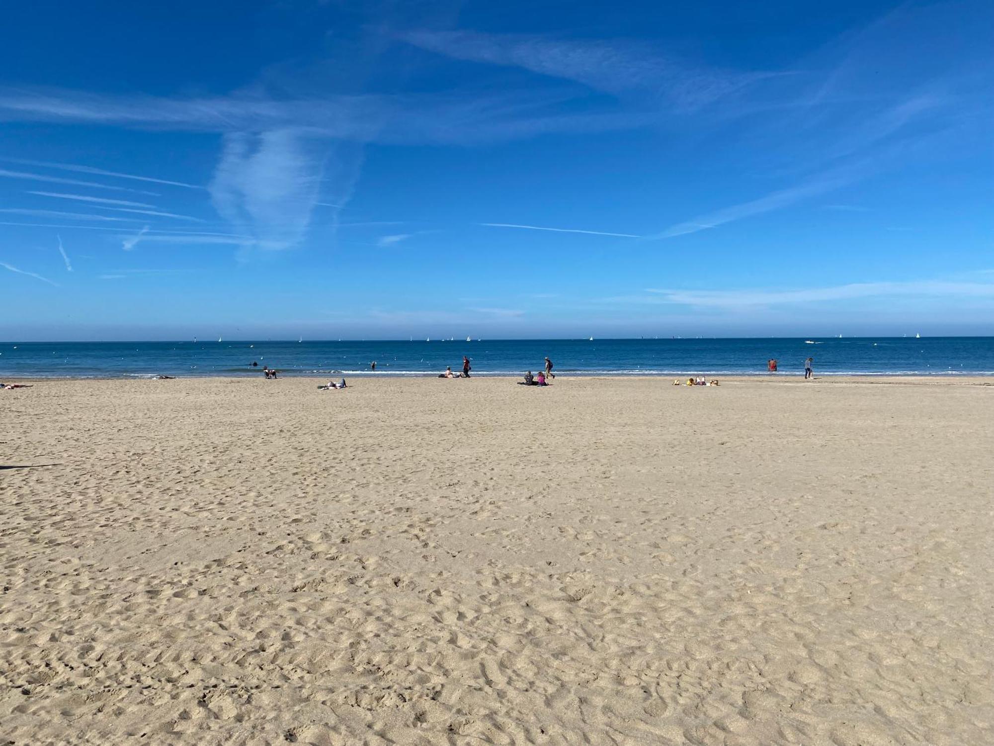 Cote Plage - Magnifique Appartement De Charme A Trouville Sur Mer - Linge - Lit Fait - Parking - Wifi - Classe Par L'Office Du Tourisme エクステリア 写真